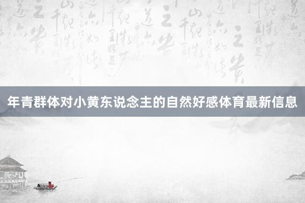 年青群体对小黄东说念主的自然好感体育最新信息