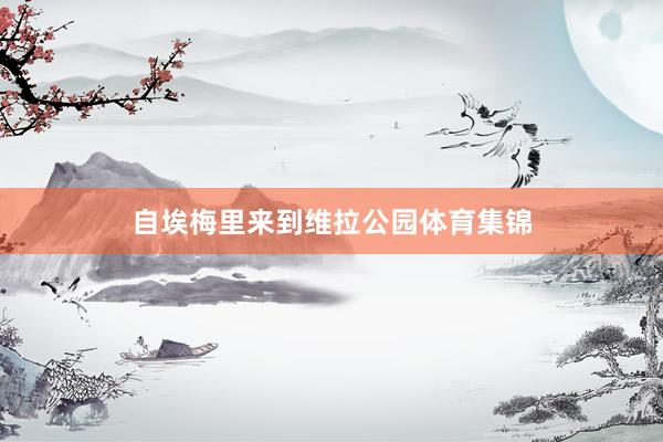 自埃梅里来到维拉公园体育集锦