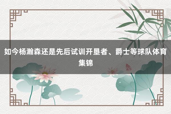 如今杨瀚森还是先后试训开垦者、爵士等球队体育集锦