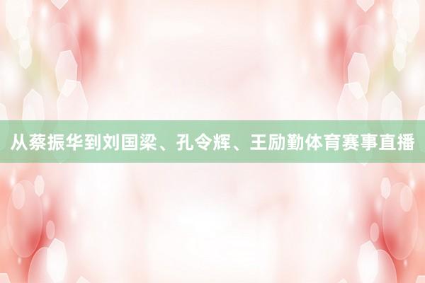 从蔡振华到刘国梁、孔令辉、王励勤体育赛事直播